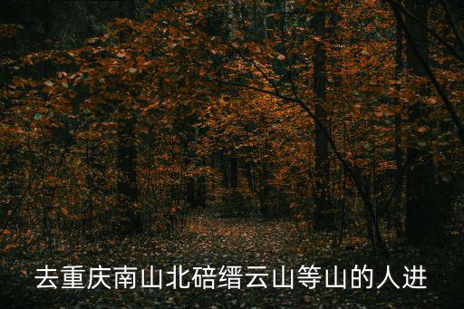 重慶市縉云山人防主任，關(guān)于縉云山有疑求解