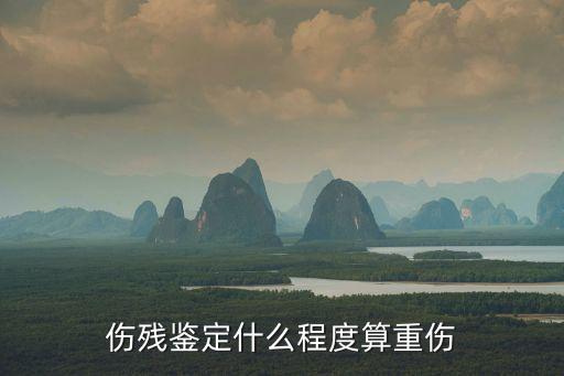 傷殘鑒定什么程度算重傷