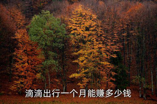滴滴利潤，滴滴打車利潤怎么樣