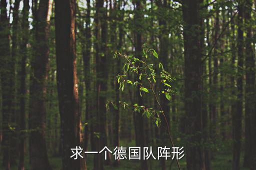 求一個德國隊陣形