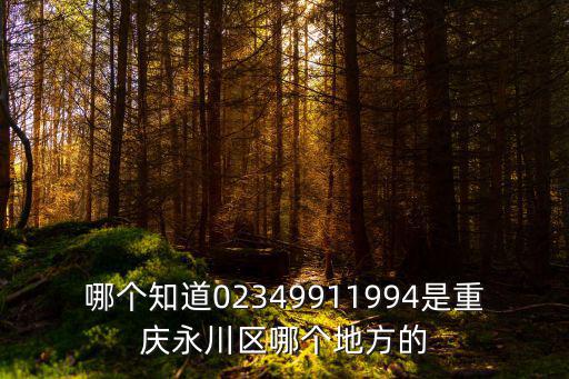哪個知道02349911994是重慶永川區哪個地方的