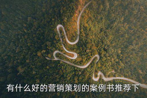 策劃案例，有什么好的營銷策劃的案例書推薦下