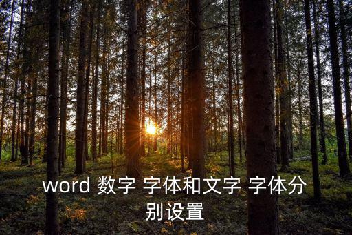 word 數(shù)字 字體和文字 字體分別設置