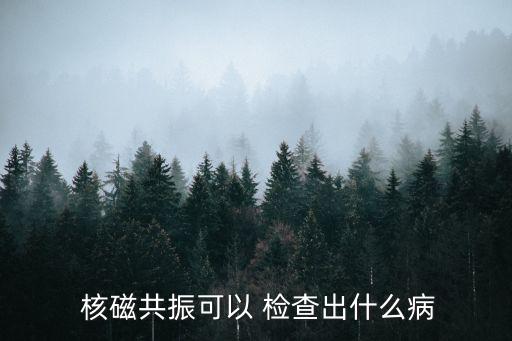  核磁共振可以 檢查出什么病