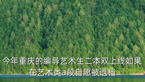 今年重慶的編導藝術生二本雙上線如果在藝術類a段自愿被退檔