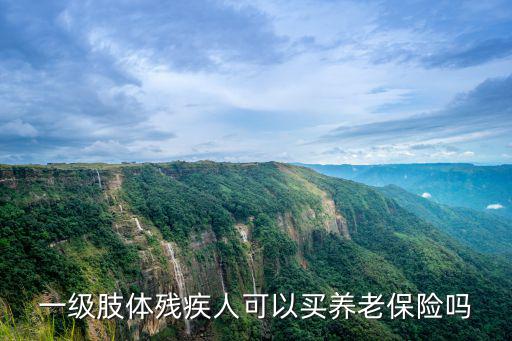 一級肢體殘疾人可以買養(yǎng)老保險嗎