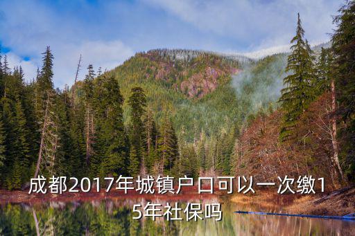 成都2017年城鎮戶口可以一次繳15年社保嗎