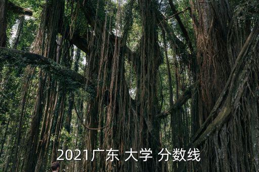 2021廣東 大學 分數線