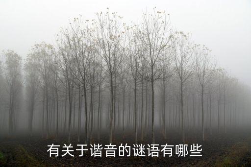 有關于諧音的謎語有哪些