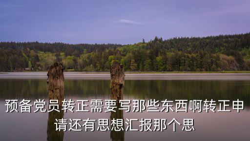 預(yù)備黨員轉(zhuǎn)正需要寫(xiě)那些東西啊轉(zhuǎn)正申請(qǐng)還有思想?yún)R報(bào)那個(gè)思