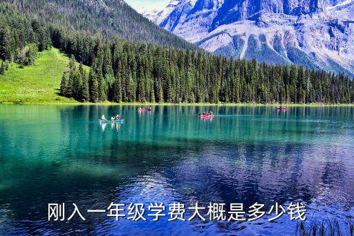 剛?cè)胍荒昙?jí)學(xué)費(fèi)大概是多少錢