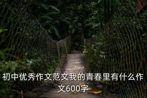 優(yōu)秀范文，初中優(yōu)秀作文范文我的青春里有什么作文600字