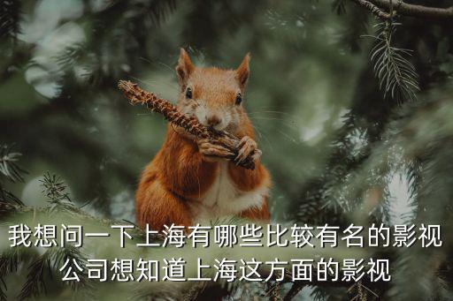 我想問一下上海有哪些比較有名的影視公司想知道上海這方面的影視