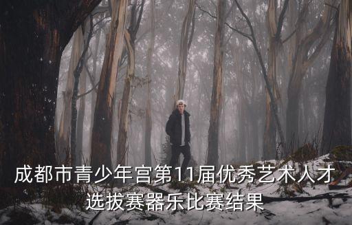 成都市青少年宮第11屆優(yōu)秀藝術(shù)人才選拔賽器樂比賽結(jié)果