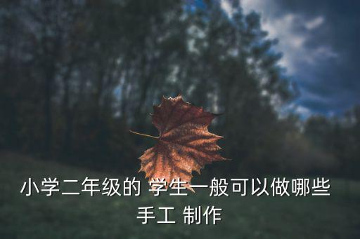 小學二年級的 學生一般可以做哪些 手工 制作