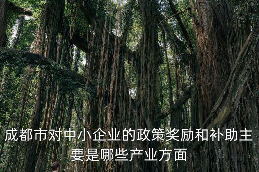 成都市對(duì)中小企業(yè)的政策獎(jiǎng)勵(lì)和補(bǔ)助主要是哪些產(chǎn)業(yè)方面