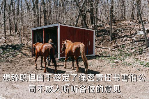 保密責任書，想辭職但由于簽定了保密責任書害怕公司不放人聽聽各位的意見