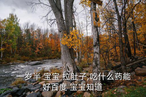  一歲半 寶寶 拉肚子,吃什么藥能好百度 寶寶知道