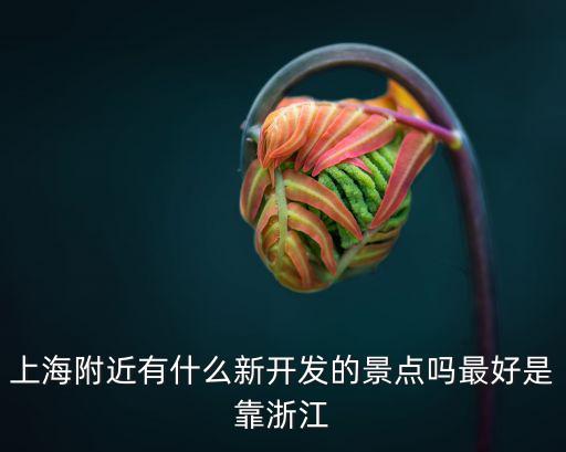 上海附近有什么新開發的景點嗎最好是靠浙江