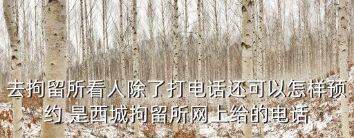 去拘留所看人除了打電話還可以怎樣預(yù)約 是西城拘留所網(wǎng)上給的電話