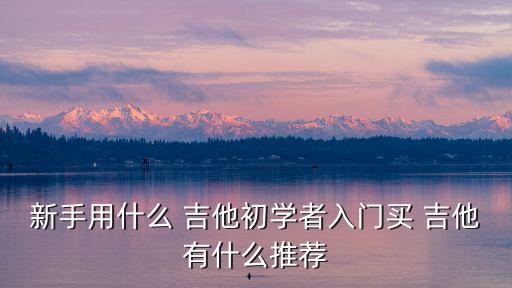新手用什么 吉他初學者入門買 吉他有什么推薦