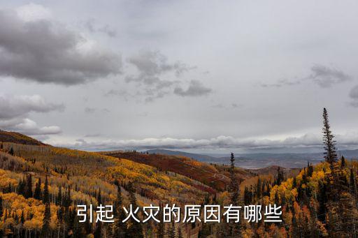 引起 火災的原因有哪些