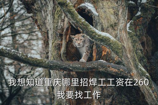 我想知道重慶哪里招焊工工資在260我要找工作