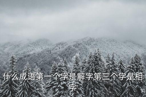 什么成語(yǔ)第一個(gè)字是解字第三個(gè)字是相字