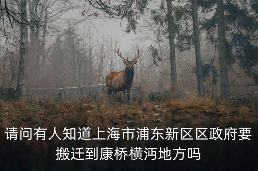請問有人知道上海市浦東新區區政府要搬遷到康橋橫沔地方嗎