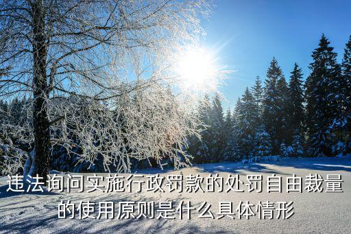 違法詢問實施行政罰款的處罰自由裁量的使用原則是什么具體情形