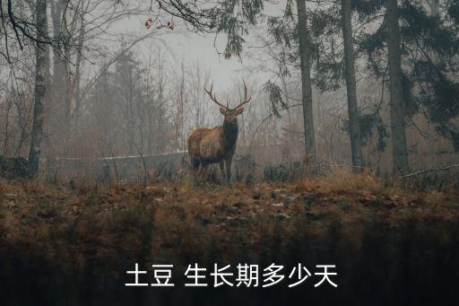  土豆 生長期多少天