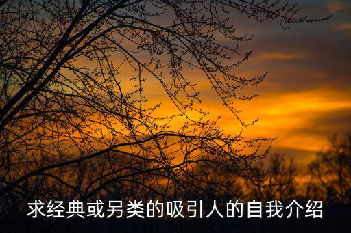 吸引人的自我介紹，求經典或另類的吸引人的自我介紹