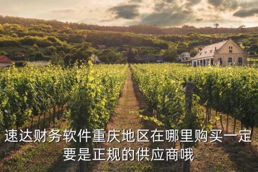 速達(dá)財(cái)務(wù)軟件重慶地區(qū)在哪里購買一定要是正規(guī)的供應(yīng)商哦