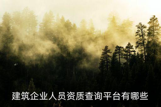建筑企業人員資質查詢平臺有哪些