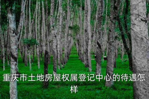 重慶市土地房屋權(quán)屬登記中心的待遇怎樣