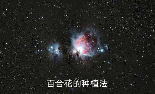 百合花種植方法，百合花怎么養殖
