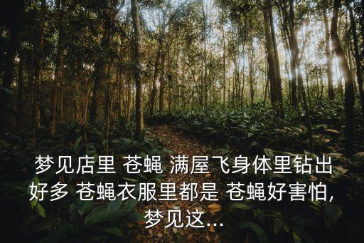  夢見店里 蒼蠅 滿屋飛身體里鉆出好多 蒼蠅衣服里都是 蒼蠅好害怕, 夢見這...