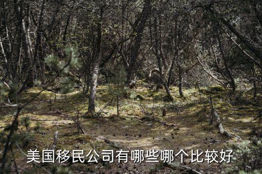 移民公司，加成移民公司在哪里