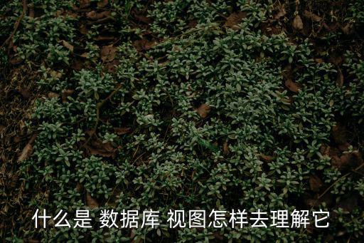 什么是 數(shù)據(jù)庫(kù) 視圖怎樣去理解它