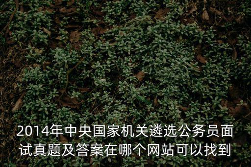 2014年中央國家機關(guān)遴選公務(wù)員面試真題及答案在哪個網(wǎng)站可以找到