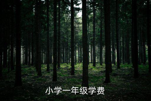 小學(xué)一年級(jí)學(xué)費(fèi)