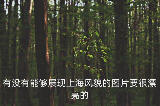 上海圖片大全真實圖片，上海碧海金沙都有什么玩的 海好不好看 好玩不好玩 求去過的發真實圖片
