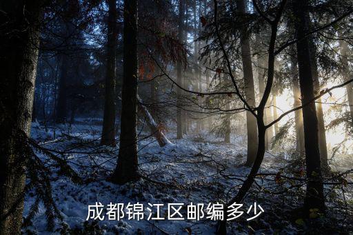 成都市錦江區永興號15號郵編，成都錦江區郵編多少