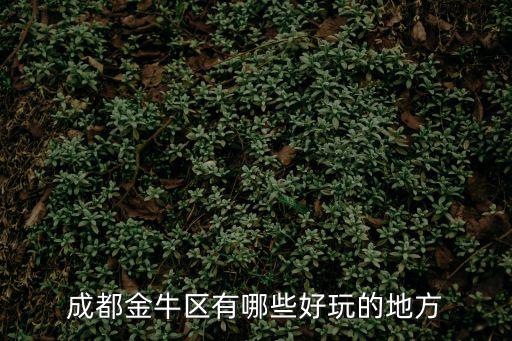 成都金牛區有哪些好玩的地方