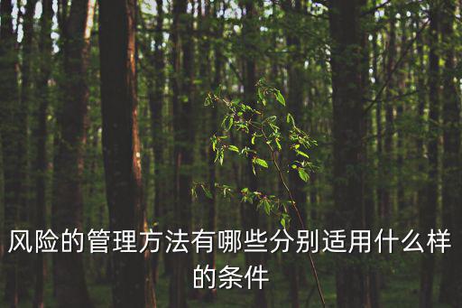 風險的管理方法有哪些分別適用什么樣的條件