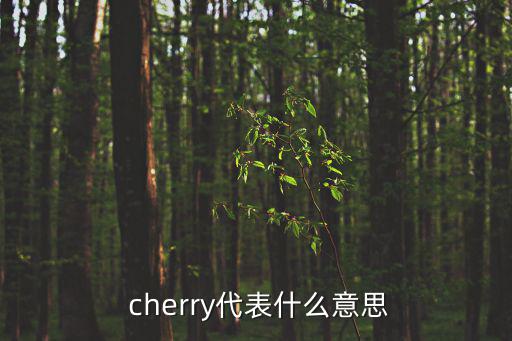 cherry什么意思,武漢出現第二起確診病例