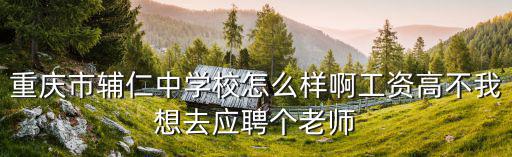 重慶市輔仁中學校等級，重慶市輔仁中學校怎么樣啊工資高不我想去應聘個老師