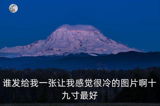 誰發給我一張讓我感覺很冷的圖片啊十九寸最好