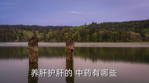 保肝護肝的中藥,中藥可入肝經(jīng)起到疏肝理氣等作用