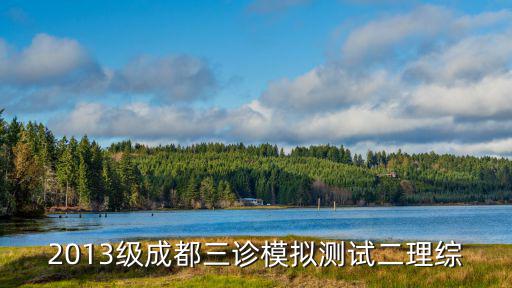 成都市三診試卷理科，誰知道2010成都三診數學答案